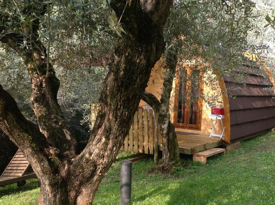 Igloo Garden Lake Сояно дел Лаго Екстериор снимка
